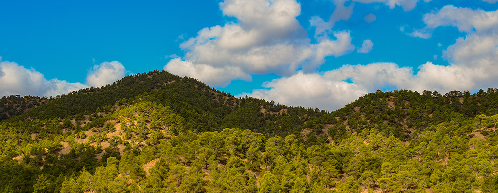 Unesco Churches in Solea Region, 2 Churches